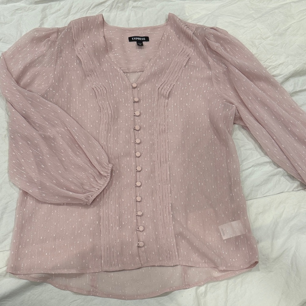 Express Blush Button-Down Blouse